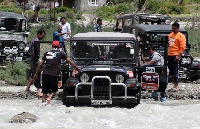 The Story of a Thar in the Mountains