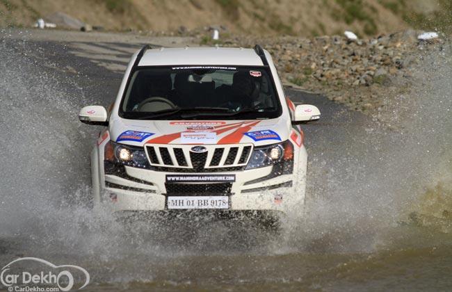 The Story of a Thar in the Mountains