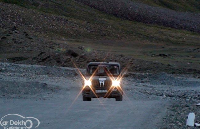 The Story of a Thar in the Mountains