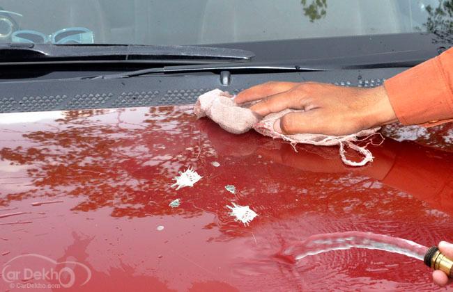 Paint Maintenance Tips