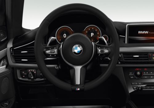 bmw x6 interior photos. BMW X6 Steering Wheel Interior