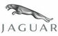 Jaguar Jaguar